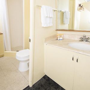 City View Suite Two Beds Kitchen